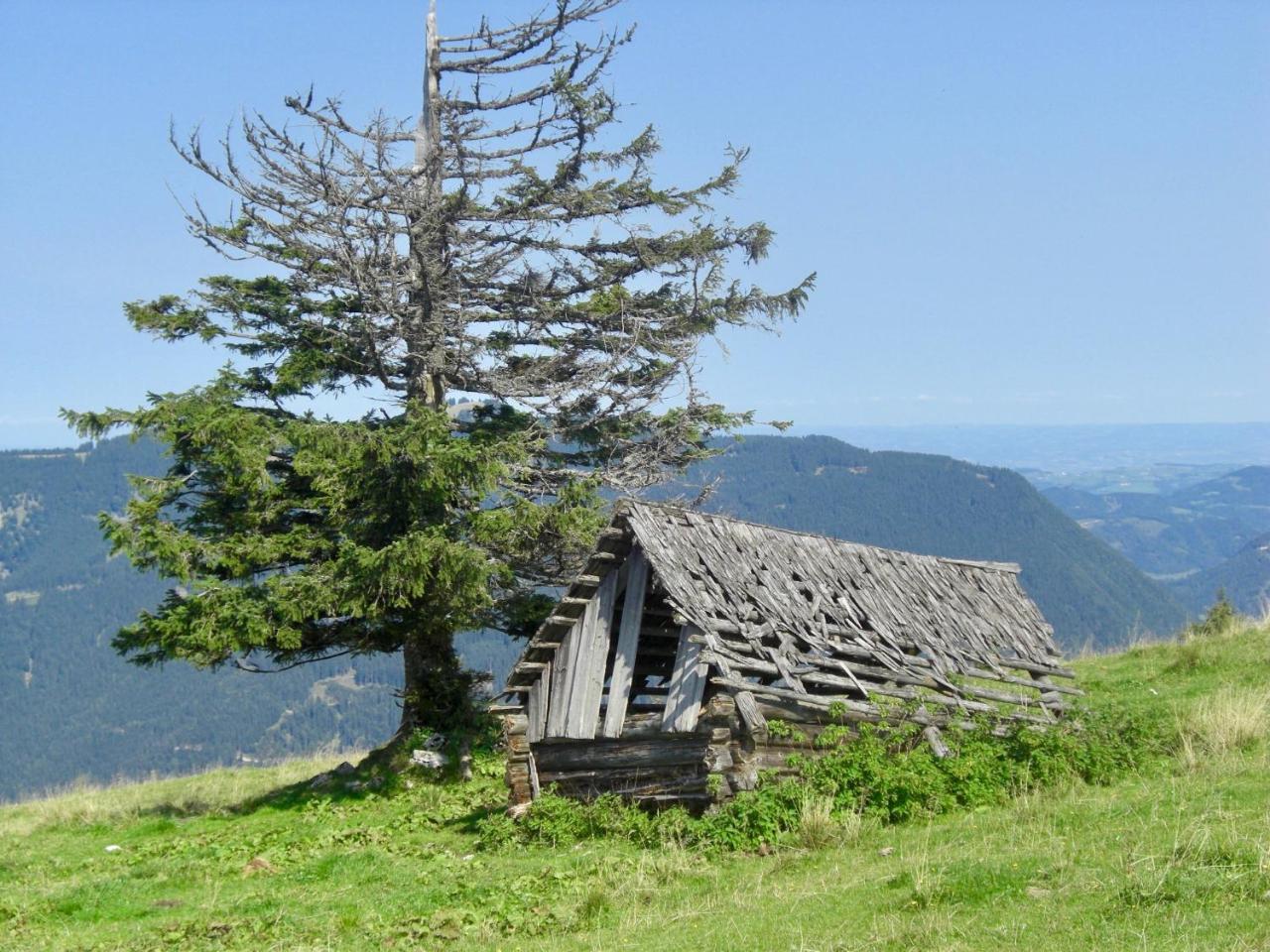 Ferienwohnung Lange Göstling an der Ybbs Exteriér fotografie